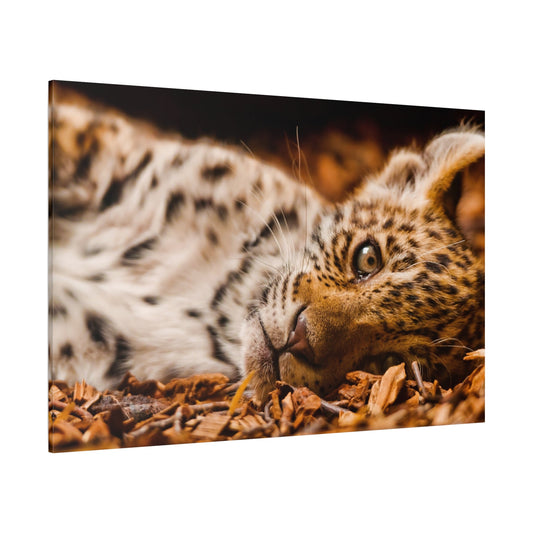 Stunning Cheetah Canvas Wall Art – Wild Safari Cat Print - ART OF ROYALS