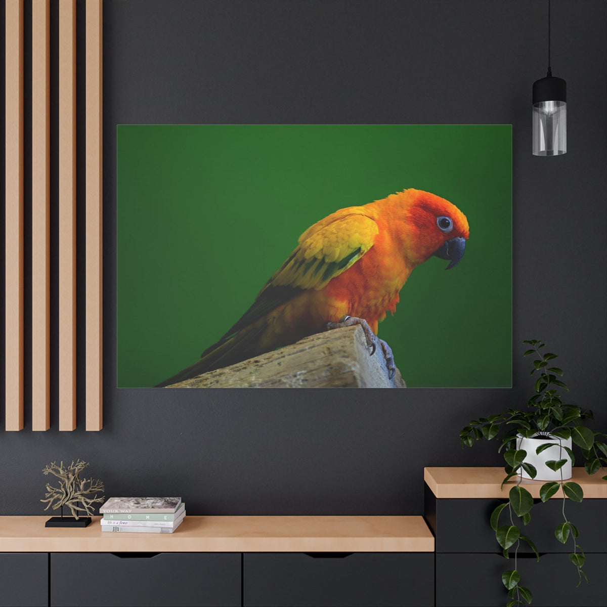 Sun Conure Parakeet Canvas Wall Art – Luxury Tropical Bird Wildlife Print - ART OF ROYALS