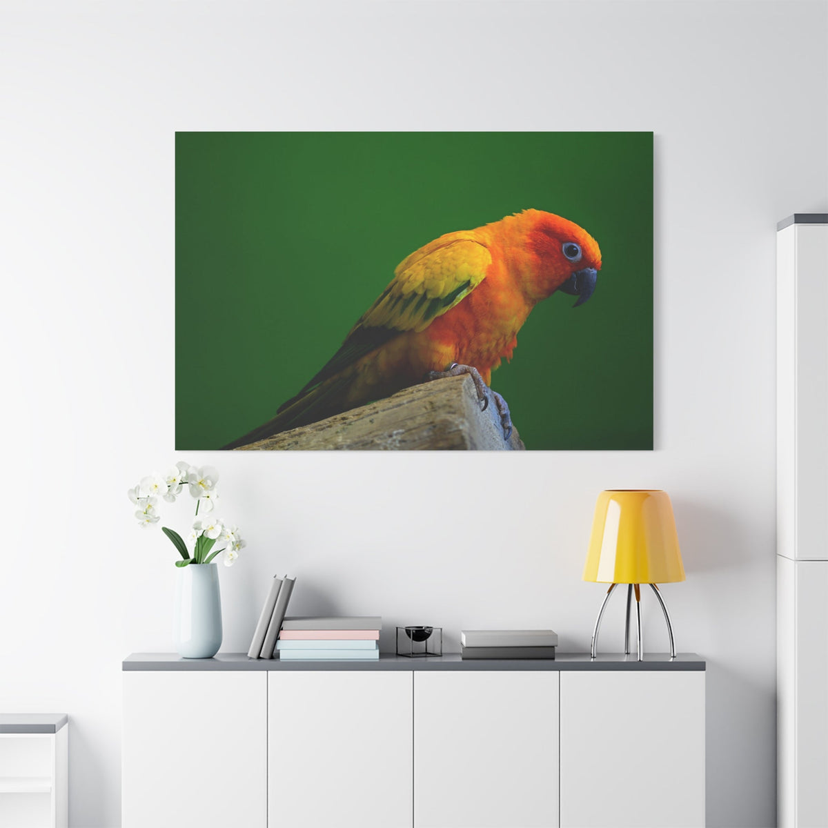 Sun Conure Parakeet Canvas Wall Art – Luxury Tropical Bird Wildlife Print - ART OF ROYALS