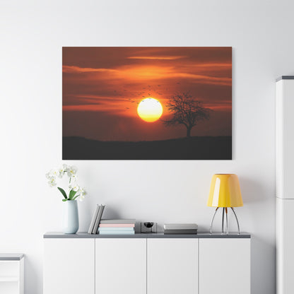 Sunset Serenity – Silhouetted Trees Against a Golden Sky - ART OF ROYALS