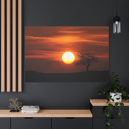 Sunset Serenity – Silhouetted Trees Against a Golden Sky - ART OF ROYALS