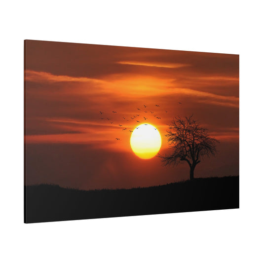 Sunset Serenity – Silhouetted Trees Against a Golden Sky - ART OF ROYALS
