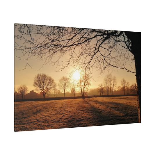 Tranquil Sunrise Over a Peaceful Meadow - ART OF ROYALS