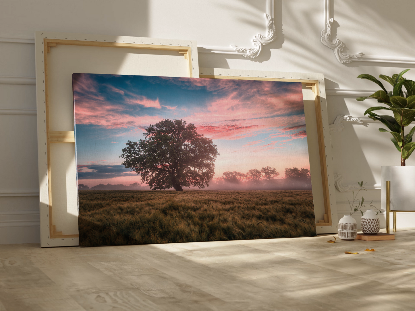 Serene Sunrise Over a Field Landscape