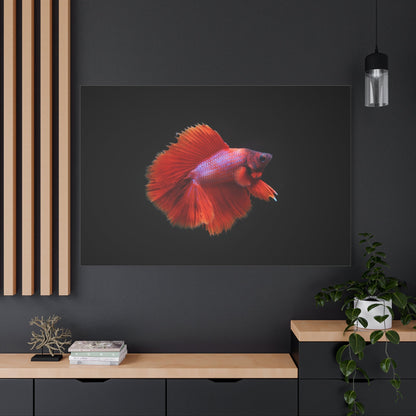 Vibrant Betta Fish Canvas Wall Art – Elegant Siamese Fighting Fish Print for Modern Decor Spaces - ART OF ROYALS