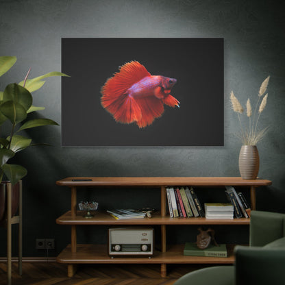 Vibrant Betta Fish Canvas Wall Art – Elegant Siamese Fighting Fish Print for Modern Decor Spaces - ART OF ROYALS