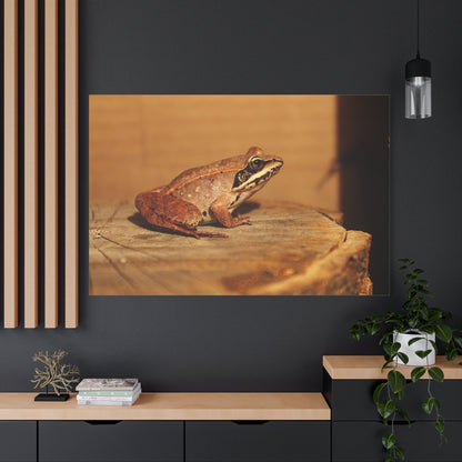 Vibrant Green Frog – Nature’s Tiny Acrobat - ART OF ROYALS