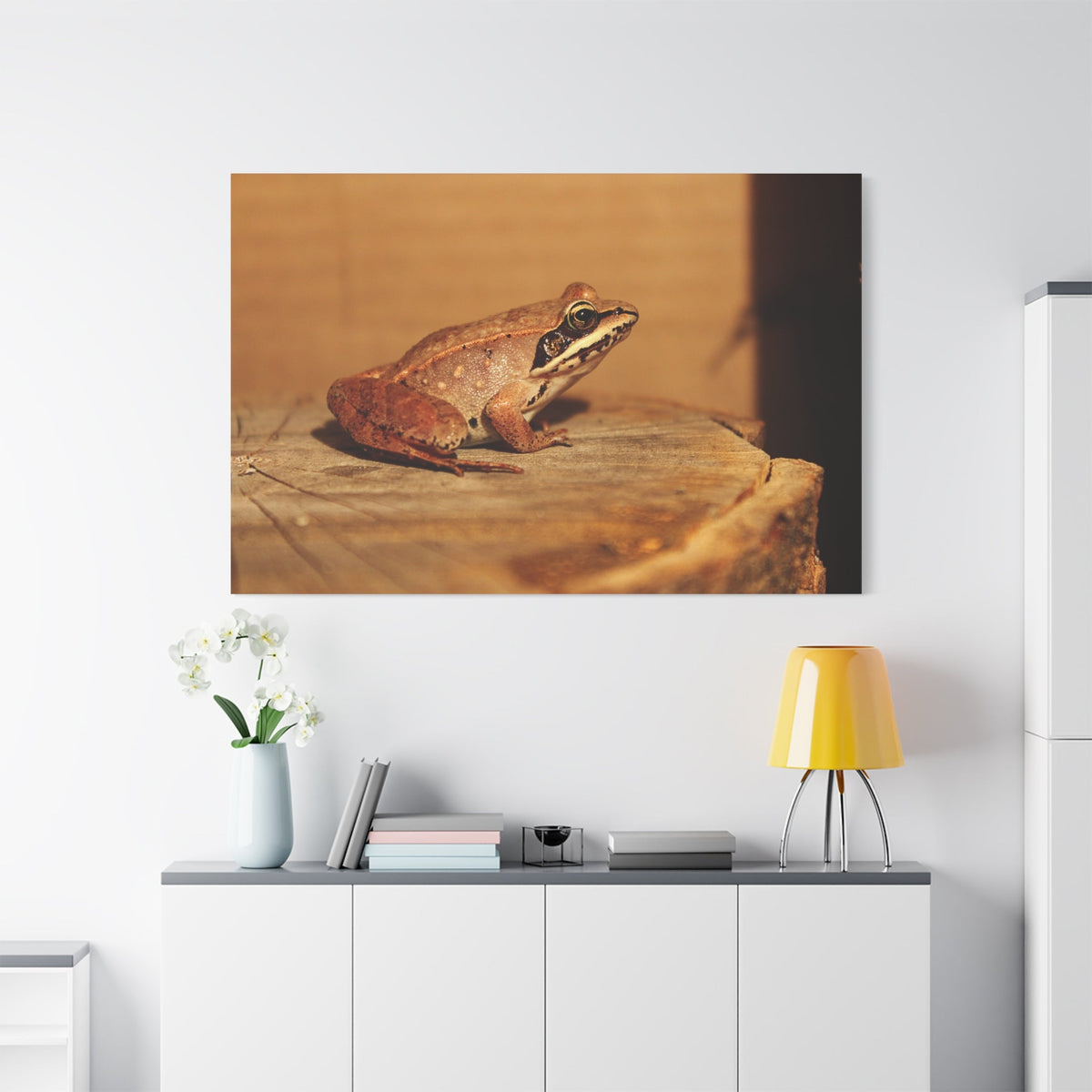 Vibrant Green Frog – Nature’s Tiny Acrobat - ART OF ROYALS
