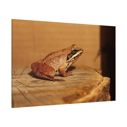 Vibrant Green Frog – Nature’s Tiny Acrobat - ART OF ROYALS