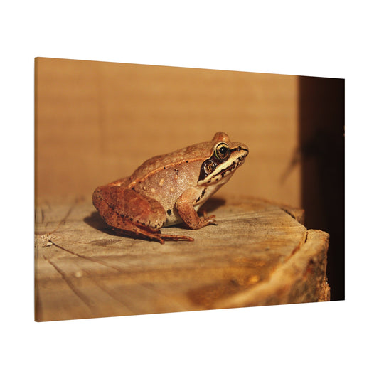 Vibrant Green Frog – Nature’s Tiny Acrobat - ART OF ROYALS