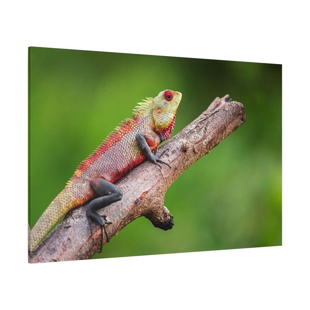 Vibrant Green Lizard Canvas Wall Art – Wildlife-Inspired Reptile Decor for Nature Enthusiasts - ART OF ROYALS