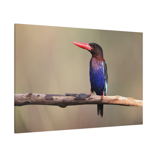 Vibrant Kingfisher Canvas Wall Art – A Splash of Color in Nature - ART OF ROYALS