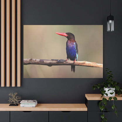Vibrant Kingfisher Canvas Wall Art – A Splash of Color in Nature - ART OF ROYALS