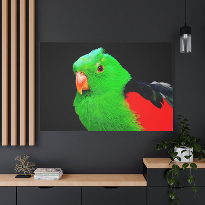 Vibrant Parakeet Canvas Wall Art – Luxury Tropical Bird Wildlife Print - ART OF ROYALS
