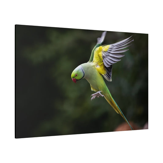Vibrant Parakeet Canvas Wall Art – Wildlife Decor for Any Space - ART OF ROYALS