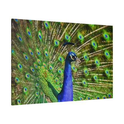 Vibrant Peacock Canvas Wall Art – Elegant Wildlife Decor for Modern Interiors - ART OF ROYALS