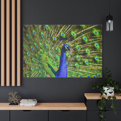 Vibrant Peacock Canvas Wall Art – Elegant Wildlife Decor for Modern Interiors - ART OF ROYALS