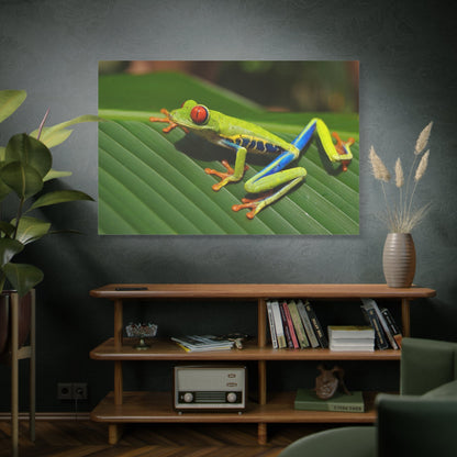 Vibrant Tree Frog – A Symbol of Nature’s Elegance - ART OF ROYALS