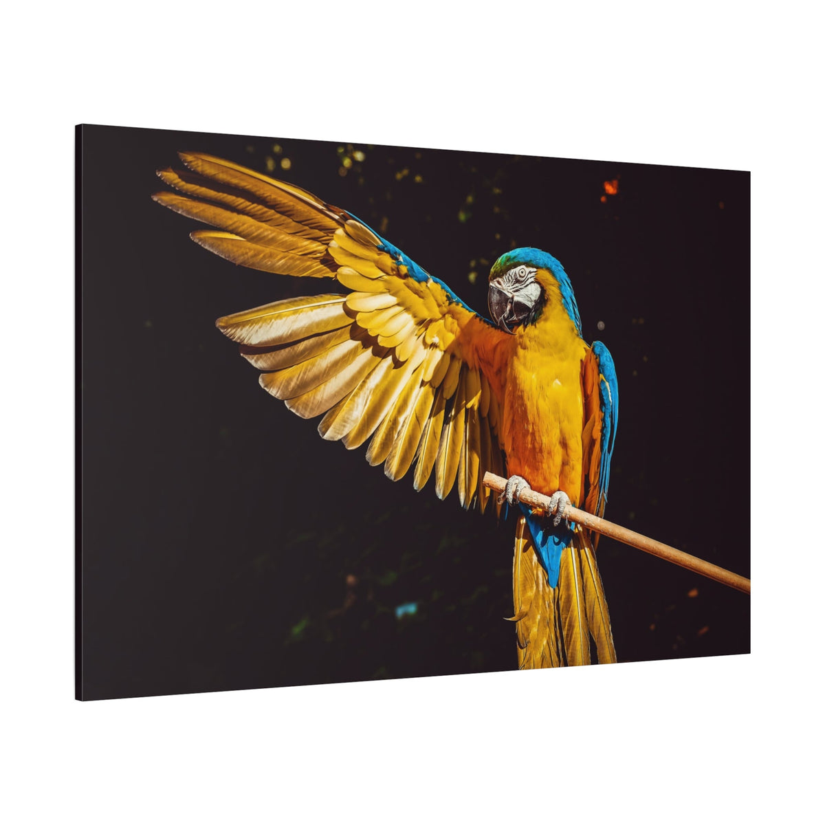 Vibrant Yellow Macaw Canvas Wall Art - ART OF ROYALS