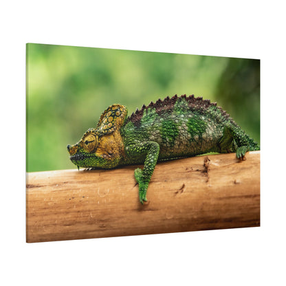 Vivid Chameleon Canvas Wall Art – Exotic Wildlife Print for Bold Nature-Inspired Decor - ART OF ROYALS