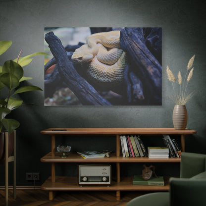 Western Diamondback Rattlesnake Canvas Wall Art – Luxury Desert Wildlife Photography Print - ART OF ROYALS