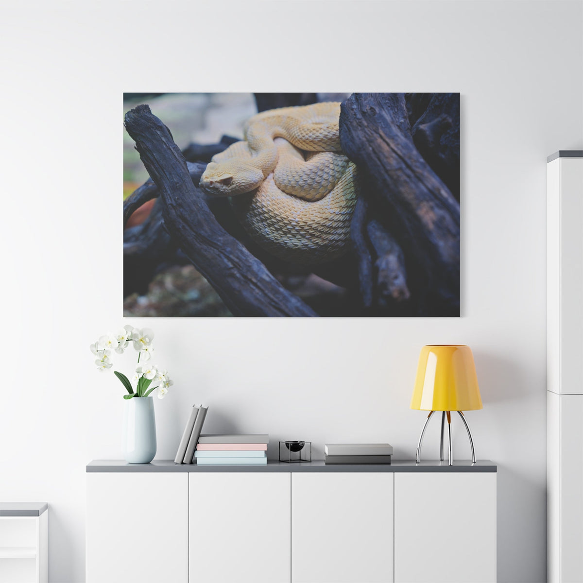 Western Diamondback Rattlesnake Canvas Wall Art – Luxury Desert Wildlife Photography Print - ART OF ROYALS