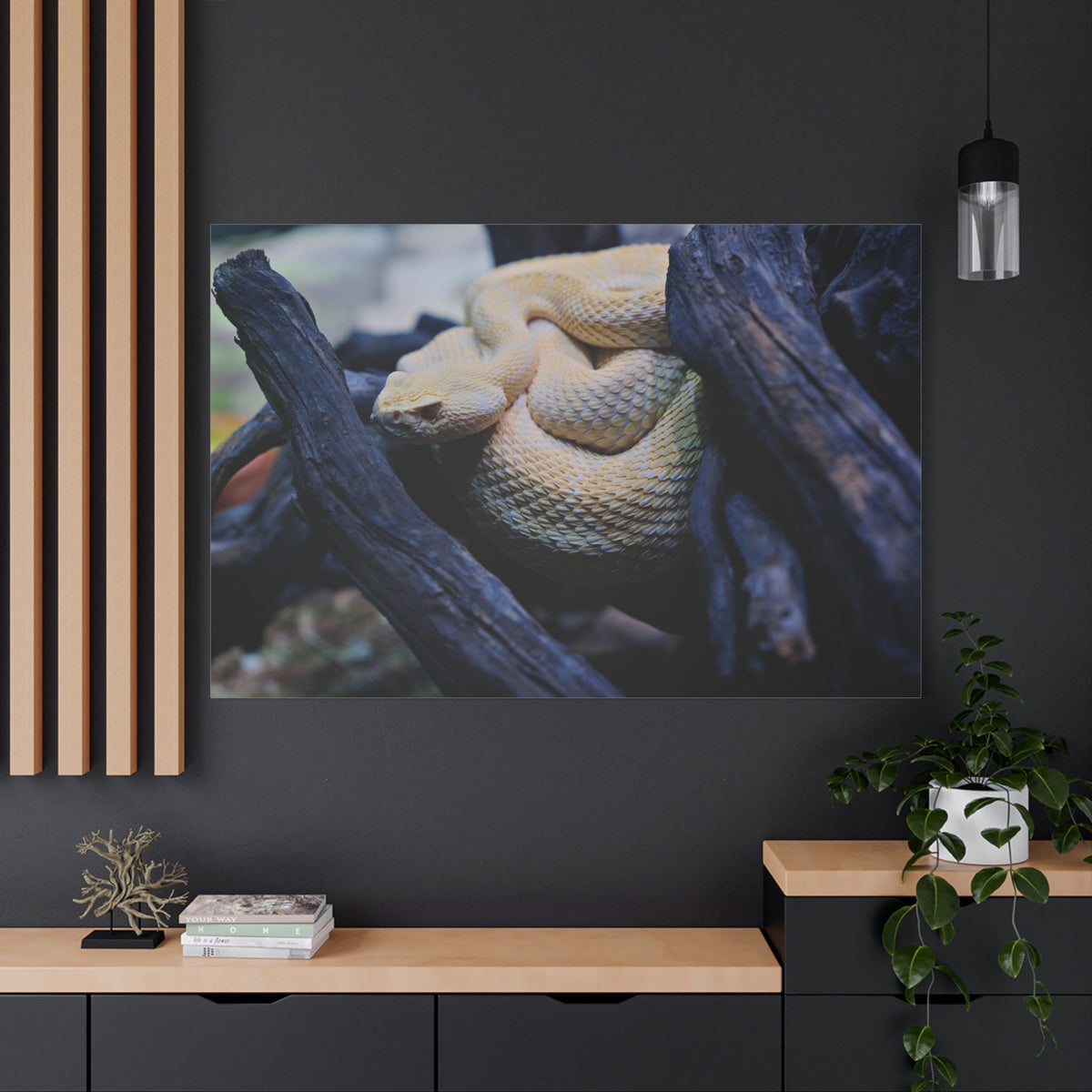 Western Diamondback Rattlesnake Canvas Wall Art – Luxury Desert Wildlife Photography Print - ART OF ROYALS
