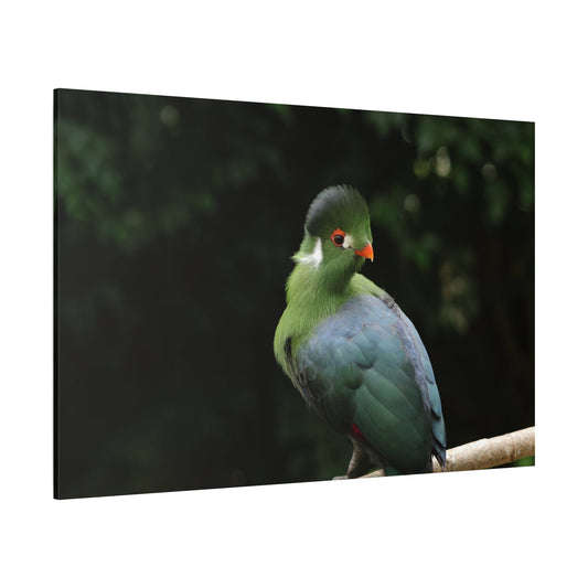 White-Cheeked Turaco Canvas Wall Art – Exotic Wildlife Elegance - ART OF ROYALS