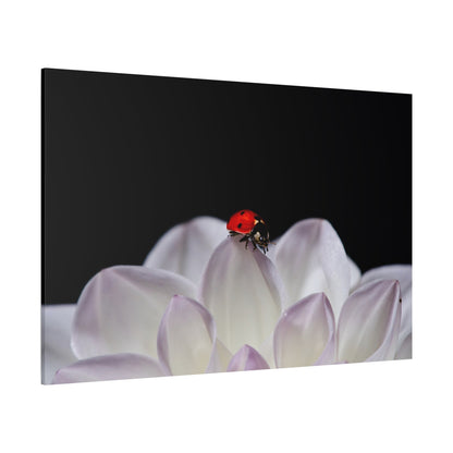 White Dahlia & Ladybug Harmony – A Nature-Inspired Art Print - ART OF ROYALS