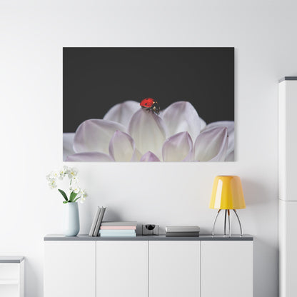 White Dahlia & Ladybug Harmony – A Nature-Inspired Art Print - ART OF ROYALS