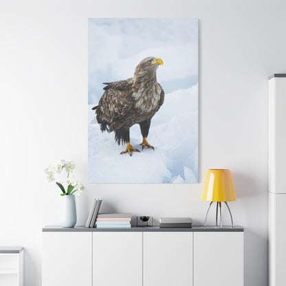 White-Tailed Eagle Canvas Wall Art – Luxury Birds of Prey Wildlife Print - ART OF ROYALS