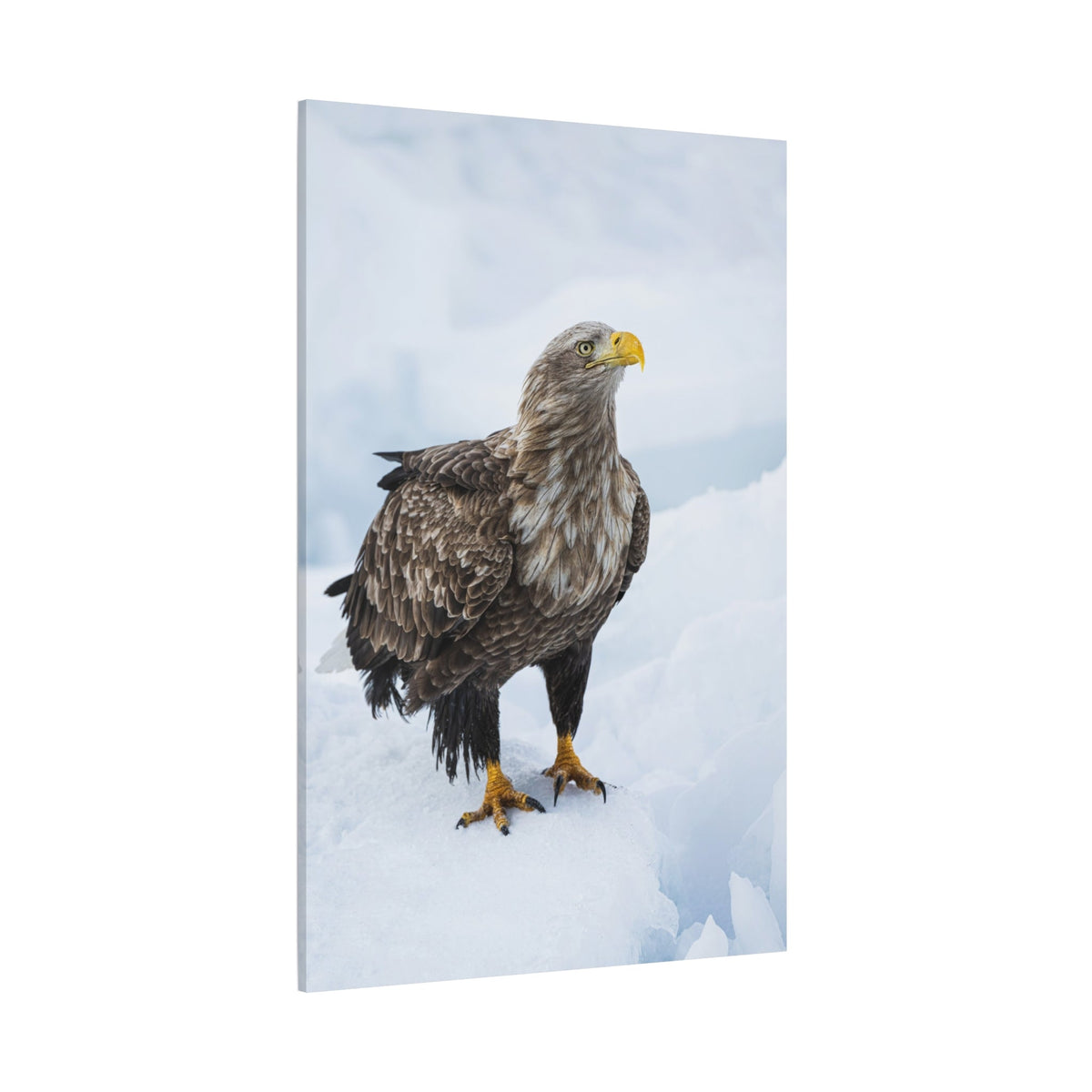 White-Tailed Eagle Canvas Wall Art – Luxury Birds of Prey Wildlife Print - ART OF ROYALS