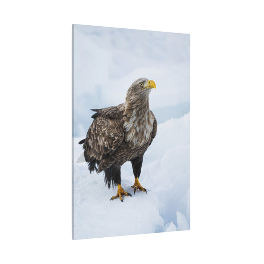 White-Tailed Eagle Canvas Wall Art – Luxury Birds of Prey Wildlife Print - ART OF ROYALS