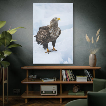 White-Tailed Eagle Canvas Wall Art – Luxury Birds of Prey Wildlife Print - ART OF ROYALS