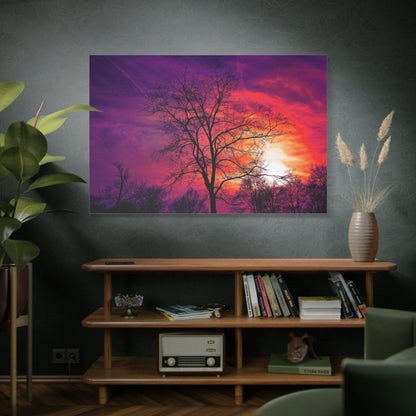 Winter’s Embrace – Bare Tree at Sunset - ART OF ROYALS
