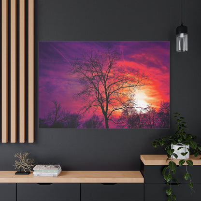 Winter’s Embrace – Bare Tree at Sunset - ART OF ROYALS