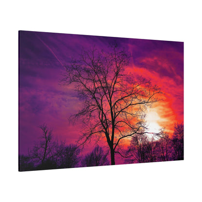 Winter’s Embrace – Bare Tree at Sunset - ART OF ROYALS